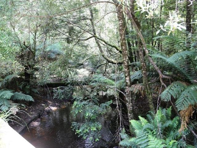 Land for sale in Trowutta, Tasmania