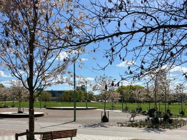Lägenhet hyra i Uppsala