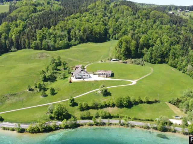 Haus kaufen in Unterach am Attersee