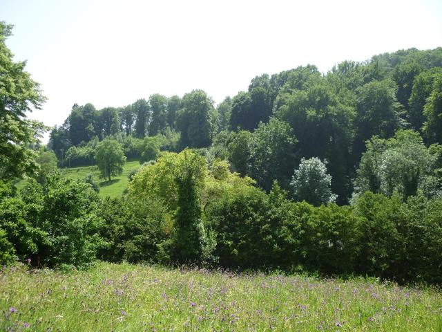 Attikawohnung mieten in Romainmôtier, Waadt