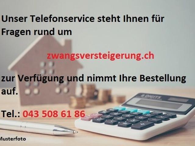 Attikawohnung kaufen in Lufingen, Zürich
