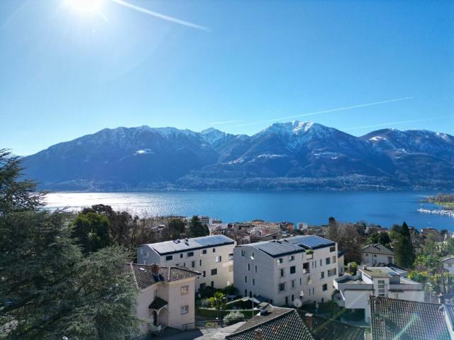 Wohnung kaufen in Muralto, Tessin