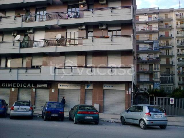Attico in affitto a Puglia, Foggia