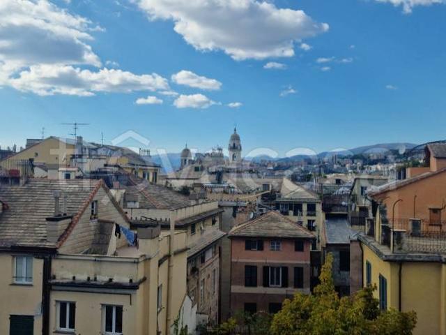 Attico in affitto a Sant'Andrea, Serra Riccò