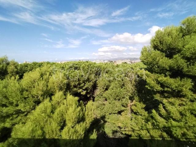 Attico in affitto a Albaro, Serra Riccò