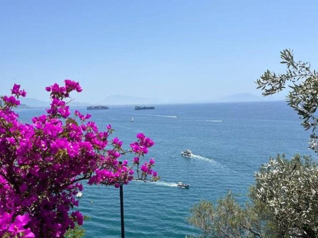 Attico in affitto a Cetara, Campania