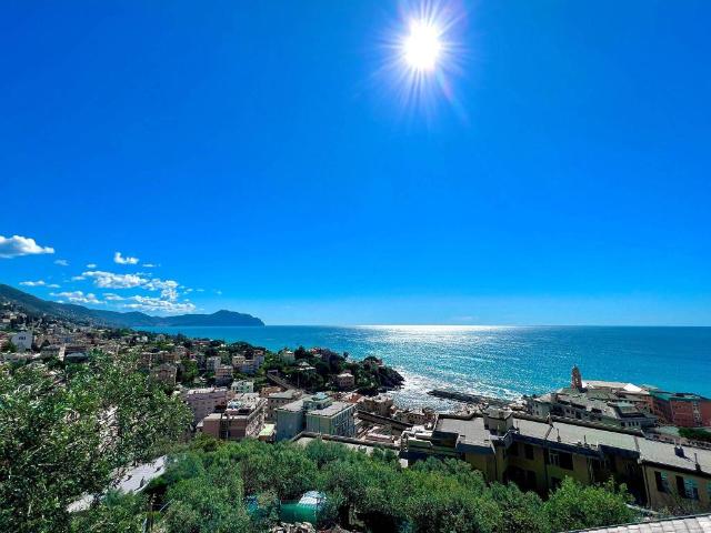 Attico in affitto a Levante, Serra Riccò