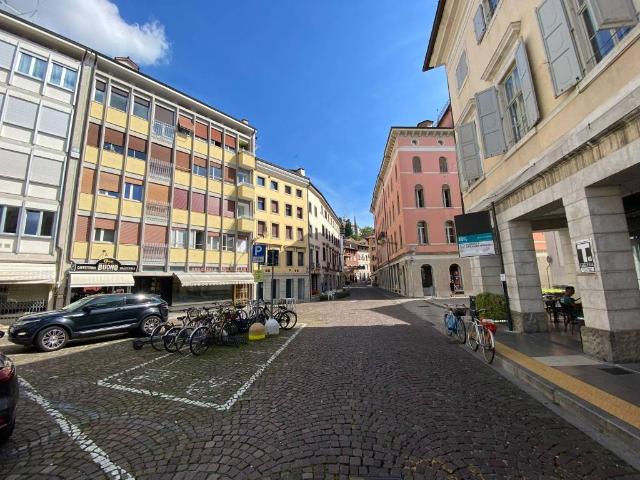 Attico in affitto a Reana Del Roiale, Friuli-Venezia Giulia