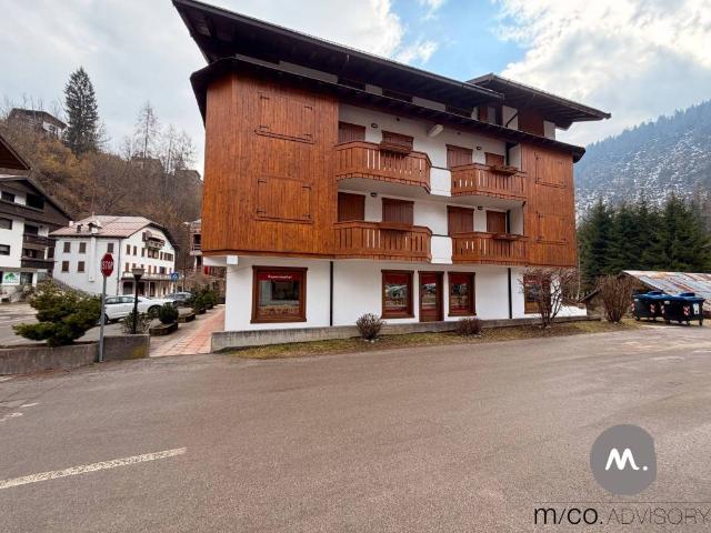 Attico in affitto a Val di Zoldo, Forno Di Zoldo