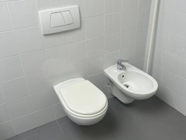 Attico in affitto a Biumo Superiore, Varese