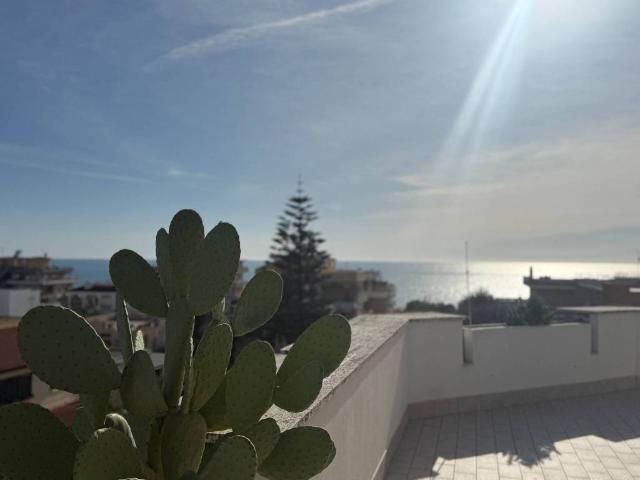 Attico in vendita a Lido di Enea, Roma Capitale