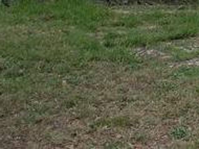 Villa Indipendente in vendita a Carmignano, Toscana