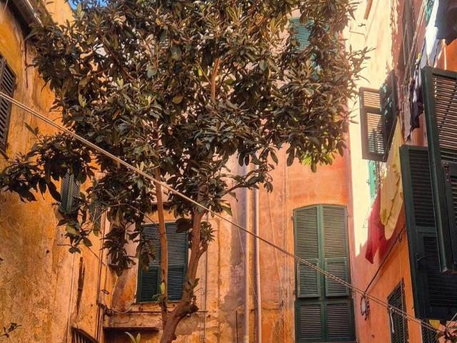 Attico in vendita a Centro Est, Serra Riccò