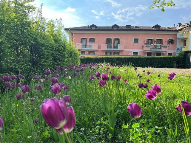Attico in vendita a Comunità Alta Valsugana e Bersntol, Levico Terme