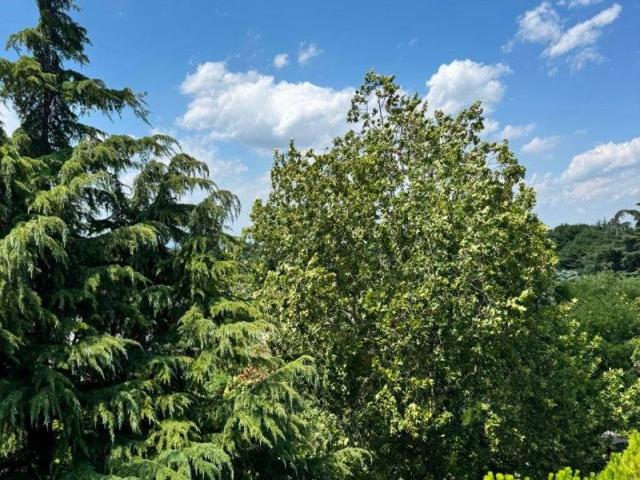 Attico in vendita a Padova