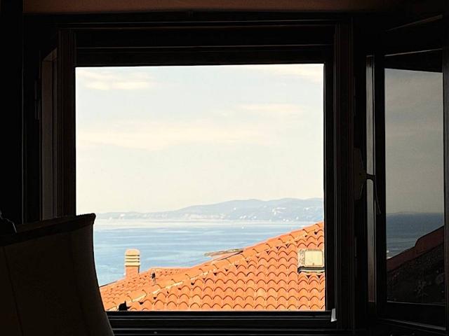 Attico in vendita a Città Nuova-Barriera Nuova-San Vito-Città Vecchia, Villa Opicina