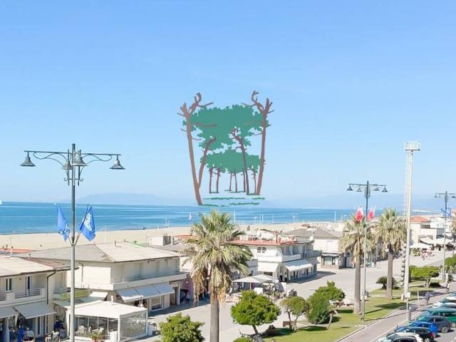 Attico in vendita a Viareggio, Toscana