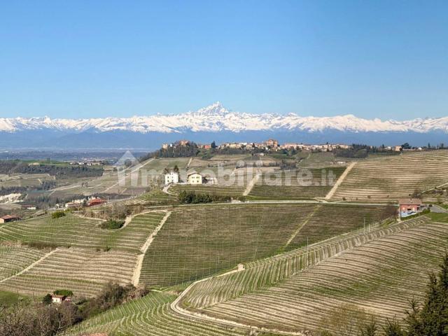 Villa Indipendente in affitto a Piemonte, Cuneo