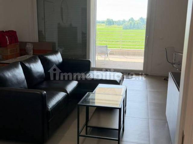 Villa Indipendente in affitto a Portile, Modena