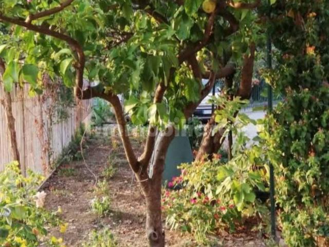 Villa Indipendente in affitto a Piemonte, Cuneo