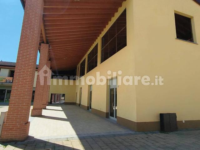 Villa Indipendente in affitto a San Felice, Cremona