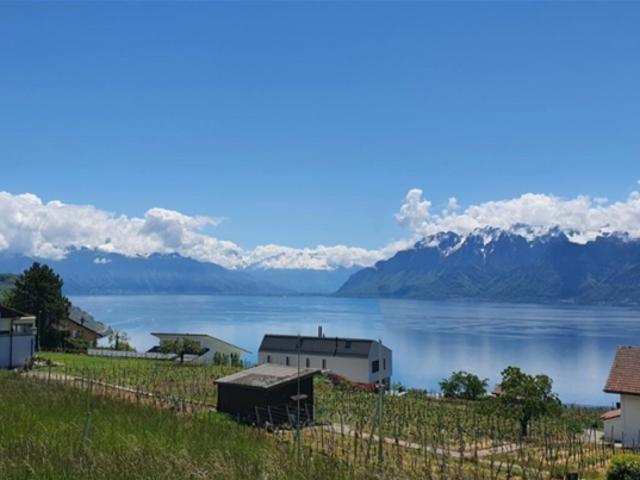 Attikawohnung kaufen in Bourg-en-Lavaux, Waadt