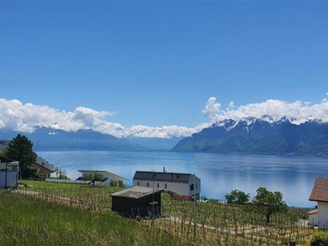 Attikawohnung kaufen in Bourg-en-Lavaux, Waadt