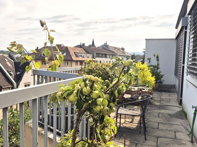 Attikawohnung kaufen in Basel, Basel-Stadt