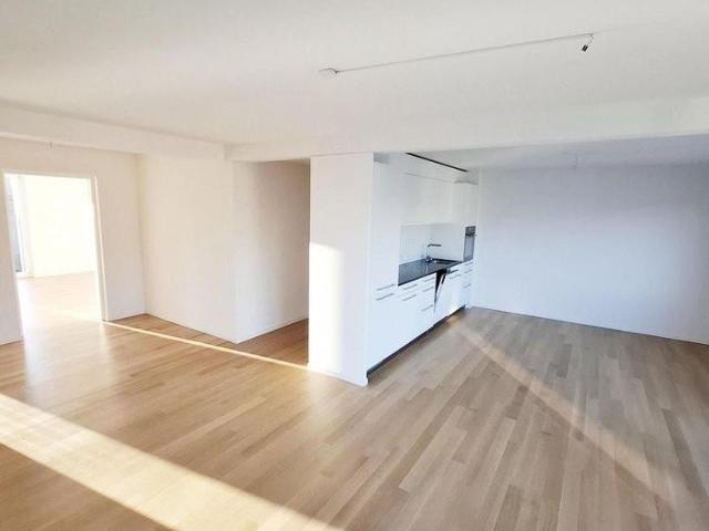 Apartment mieten in Unterstrass, Zürich