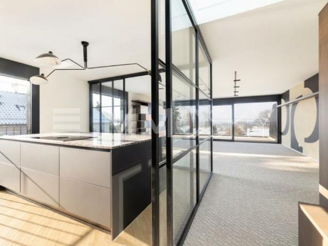 Dachwohnung kaufen in Uitikon Waldegg, Zürich