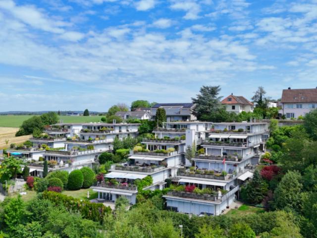 Terrassenwohnung kaufen in Wallisellen, Zürich
