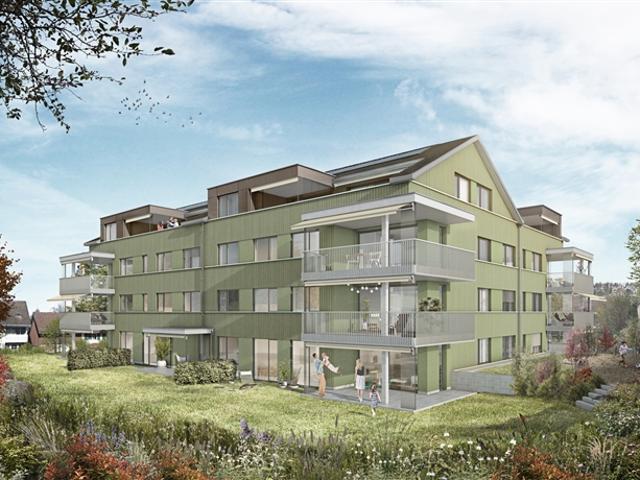 Attikawohnung kaufen in Weisslingen, Zürich