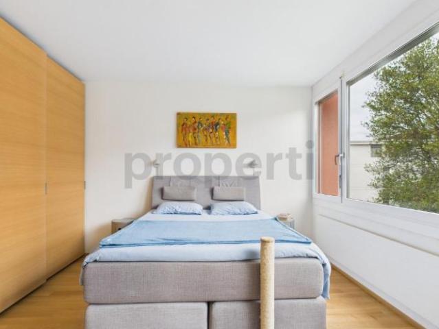 Wohnung kaufen in Massagno, Tessin