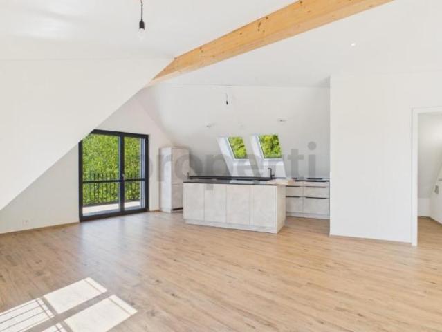 Apartment mieten in Einigen, Zürich