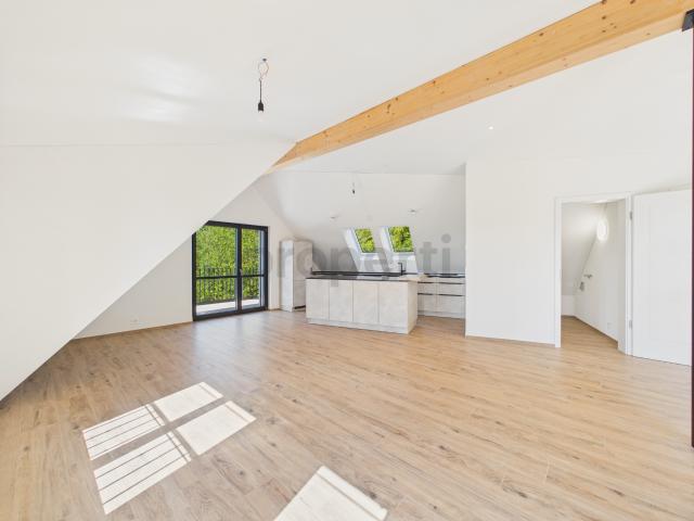 Apartment mieten in Einigen, Zürich