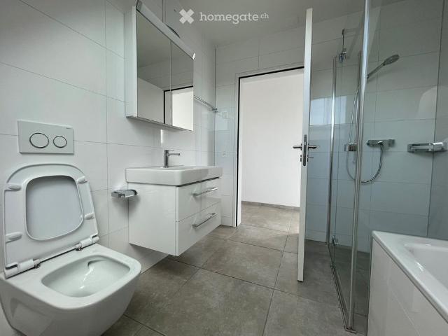 Apartment mieten in Dietikon, Bezirk Dietikon