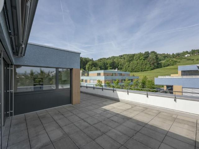 Attikawohnung kaufen in Bergdietikon, Aargau