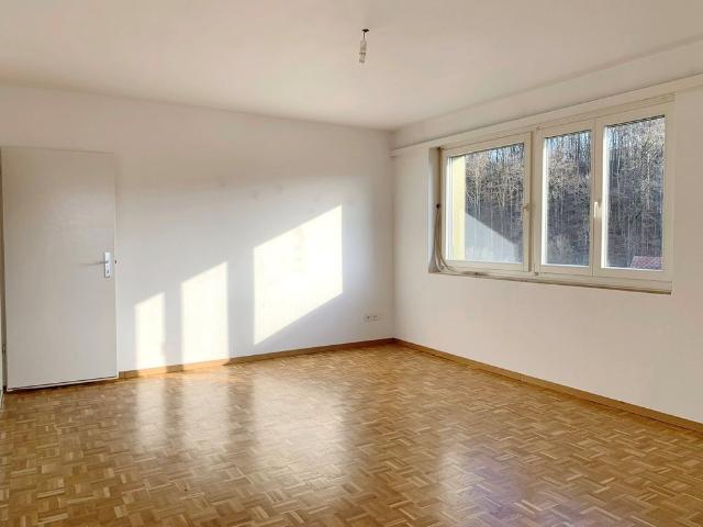 Apartment mieten in Pratteln, Bezirk Liestal