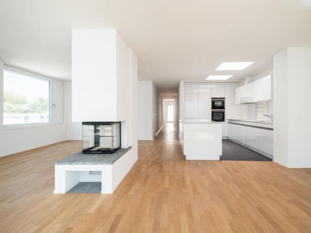 Apartment mieten in Schönbühl, Luzern