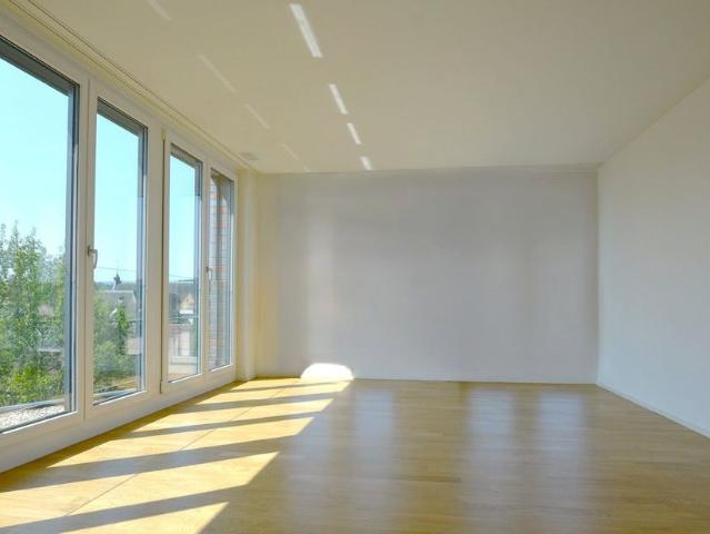 Apartment mieten in Dietikon, Bezirk Dietikon
