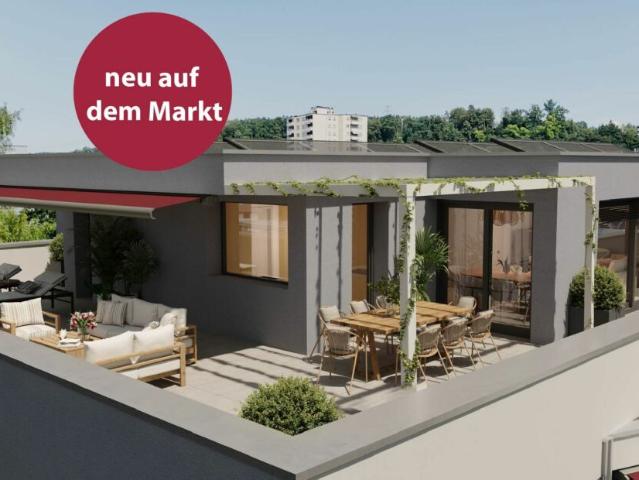 Attikawohnung kaufen in Härti, Winterthur
