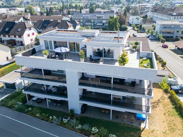 Attikawohnung kaufen in Menziken, Aargau
