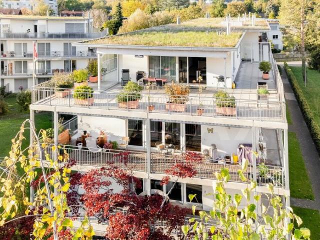 Attikawohnung kaufen in Windisch, Aargau