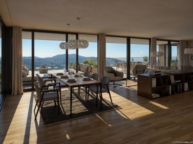 Wohnung kaufen in Brugg (AG), Aargau