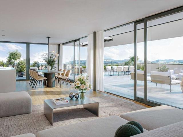 Attikawohnung kaufen in Brugg (AG), Aargau