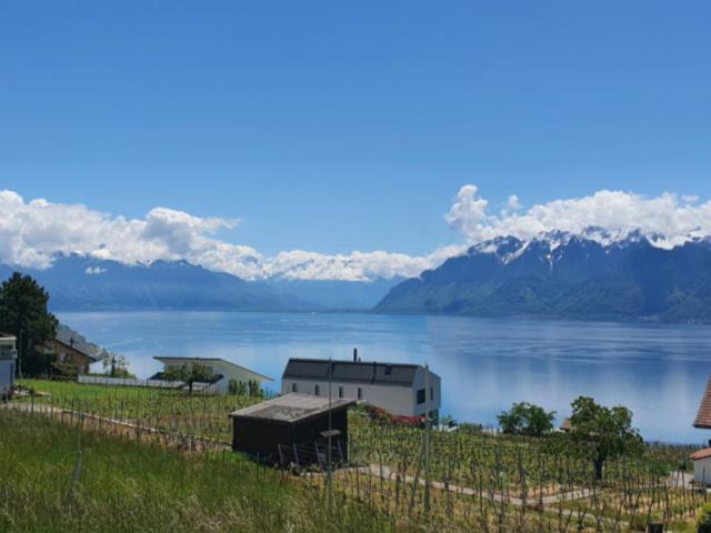 Attikawohnung kaufen in Grandvaux