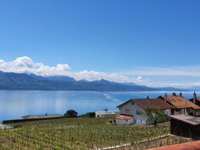 Attikawohnung kaufen in Bourg-en-Lavaux, Waadt