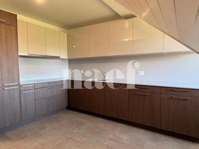 Apartment mieten in Florissant, Genève