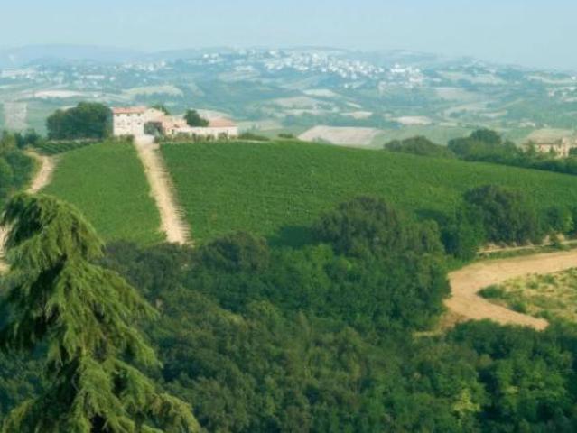 Locale Commerciale in vendita a Marche, Ascoli Piceno