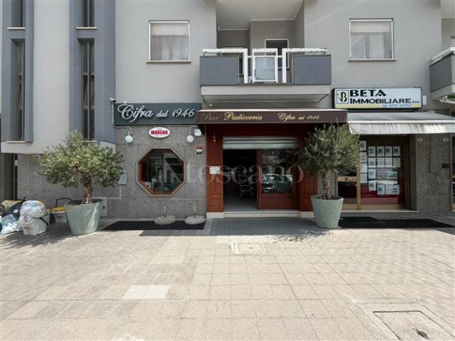 Locale Commerciale in vendita a Isonzo, Latina